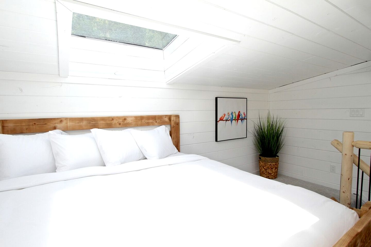 Zion Cabin Rentals for Utah Getaways