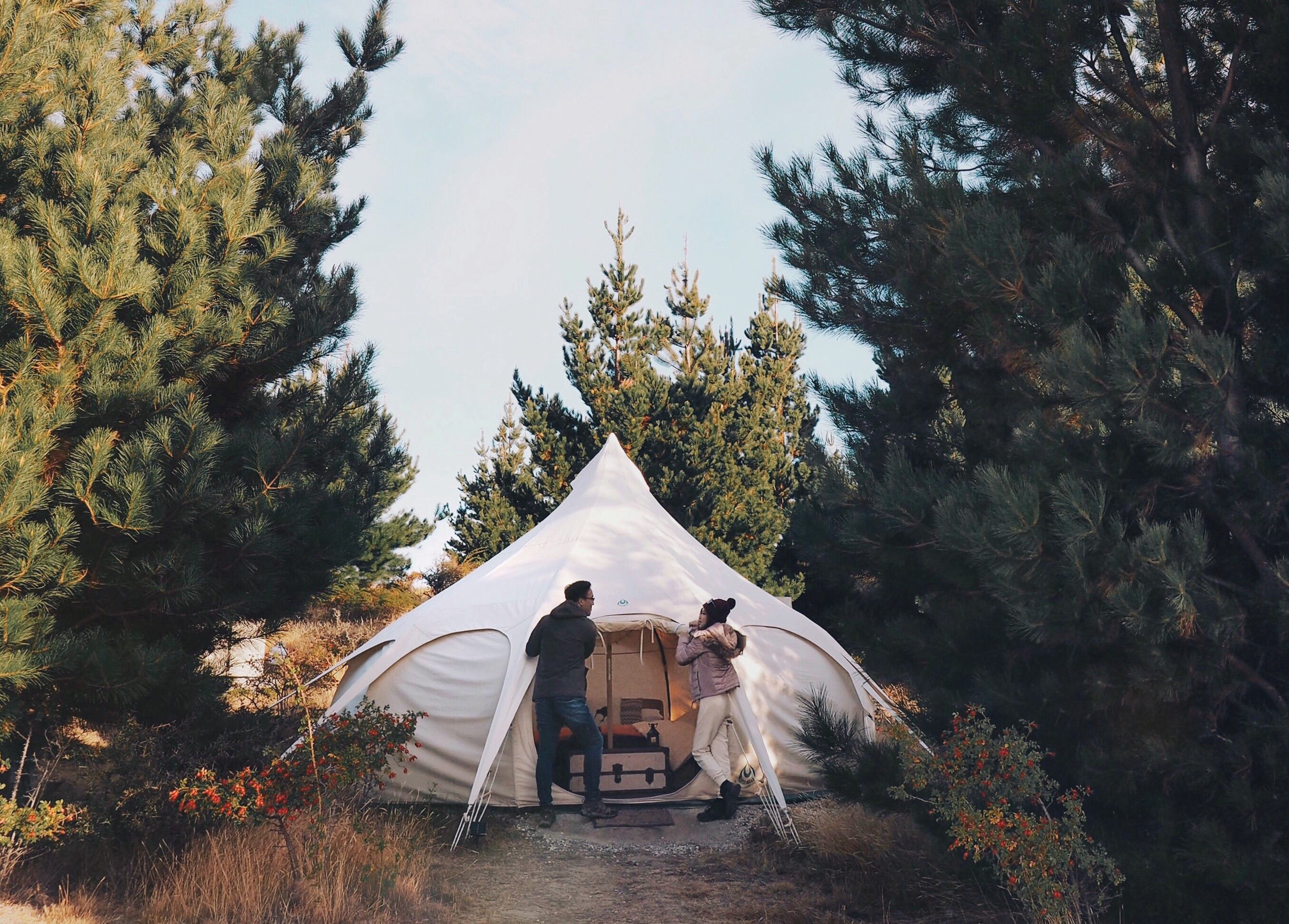 Tent Near Queenstown New Zealand Tent Near Queenstown New Zealand