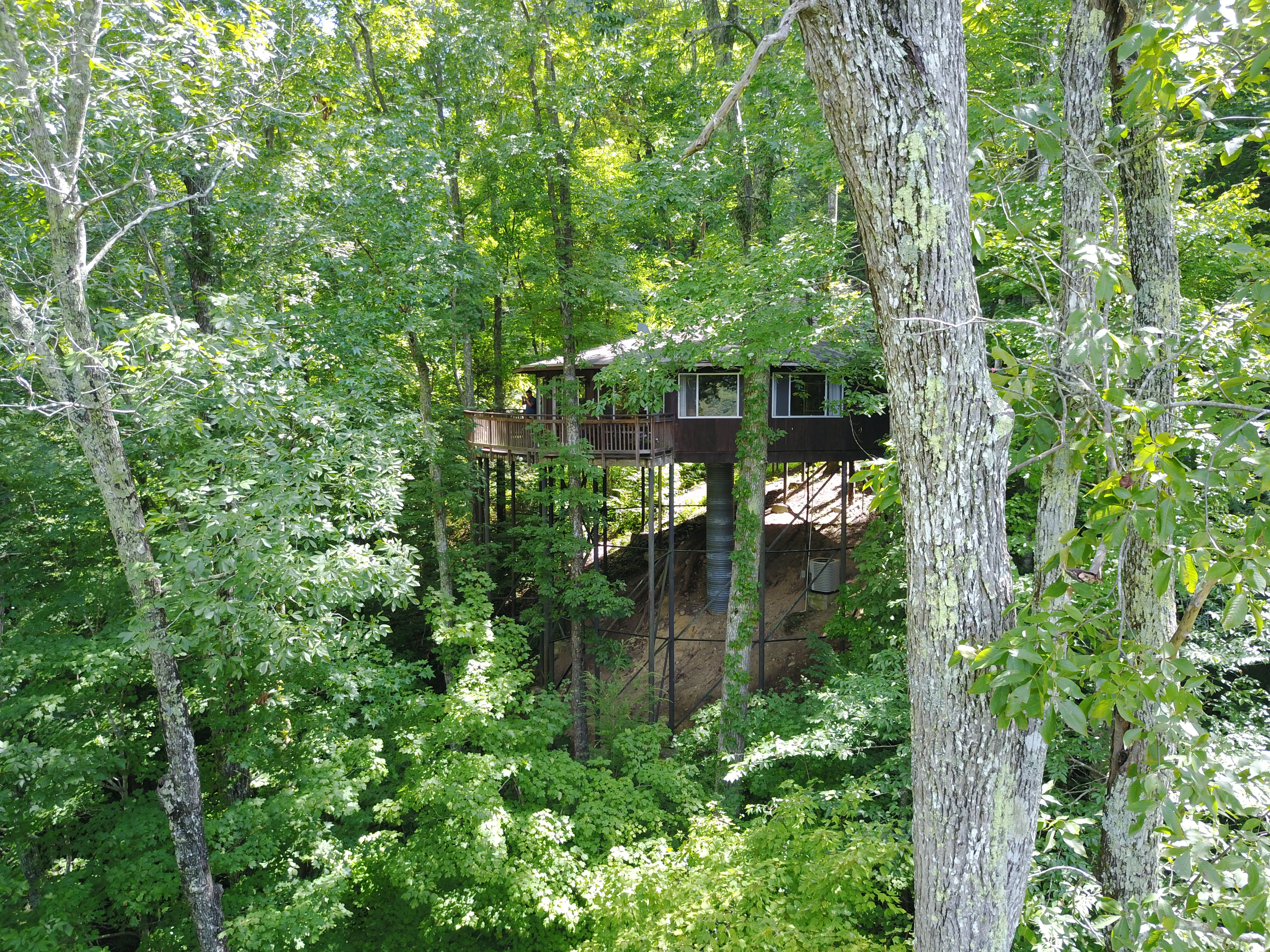 Tree House Rentals Kentucky treehouse KY