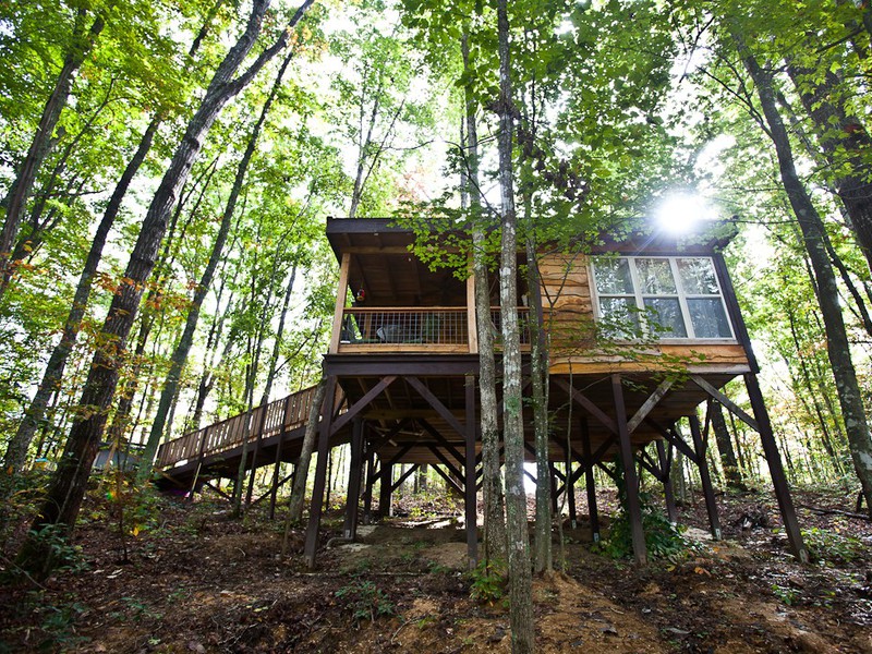 Tree Houses Tree Houses
