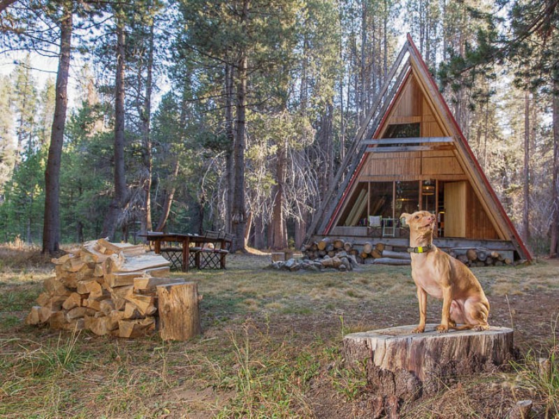 PetFriendly Cabins in the U.S.