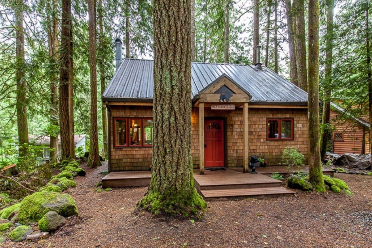Dog Friendly Cabins On Vancouver Island Dog Friendly Cabins On Vancouver Island