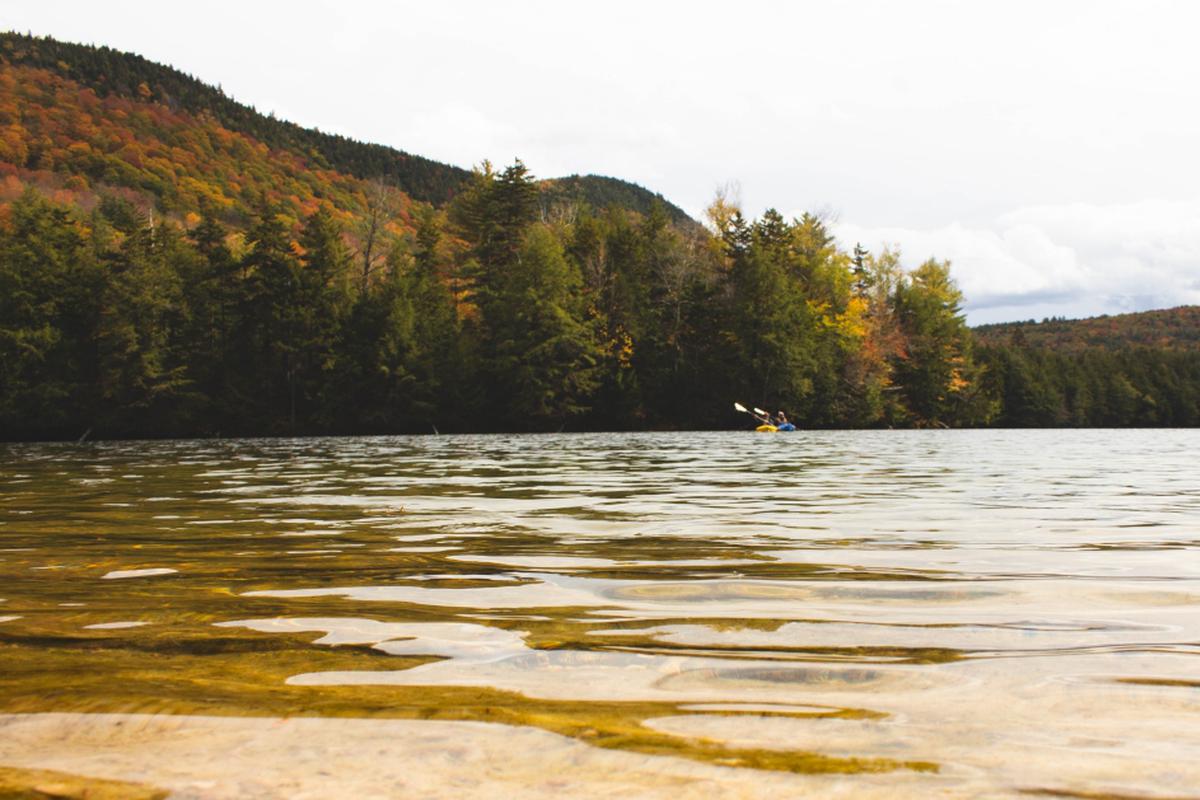 Rent a Cabin near Lake Shaftsbury State Park, Vermont Glamping Hub