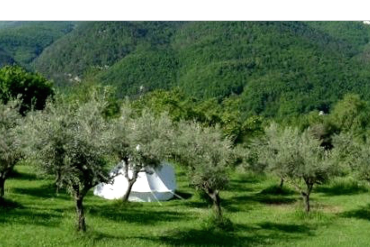 gasheizung camper Truma Trumatic SL5002 SL 5002 5002/3 Gasheizung Heizung 50 mbar *gebra   Camper-Forum-Mnsterland