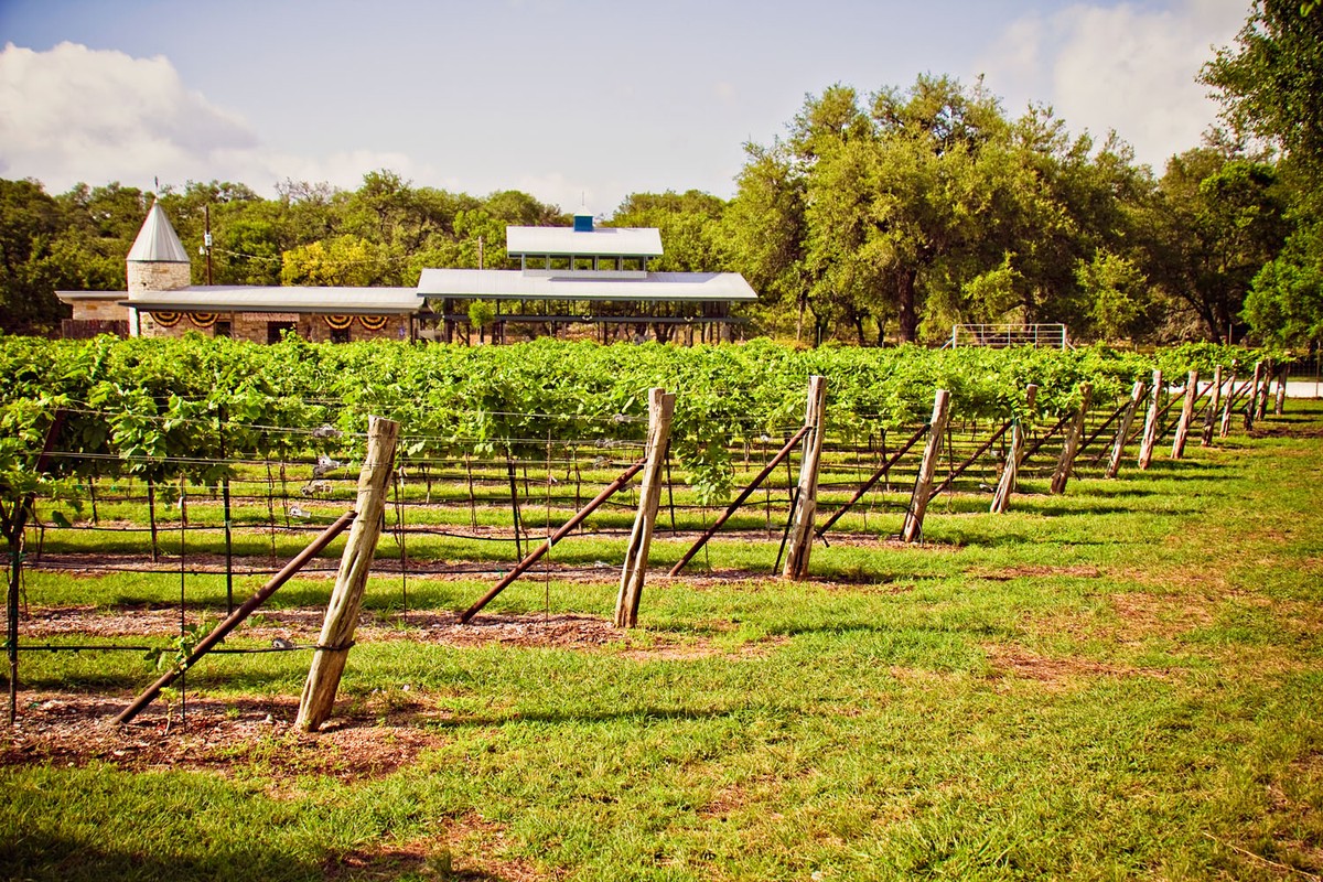 Texas hill country dating