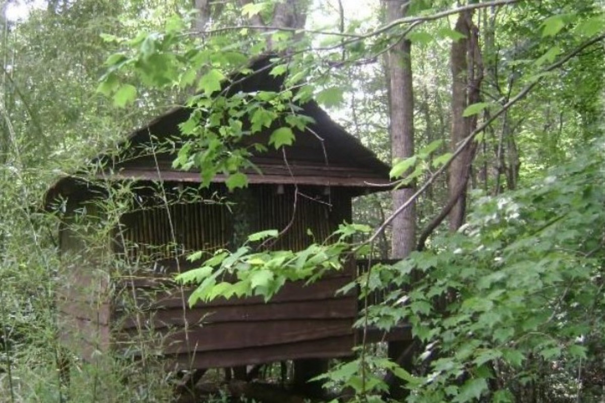 North Carolina Getaways